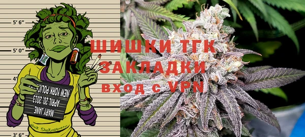 spice Лагань