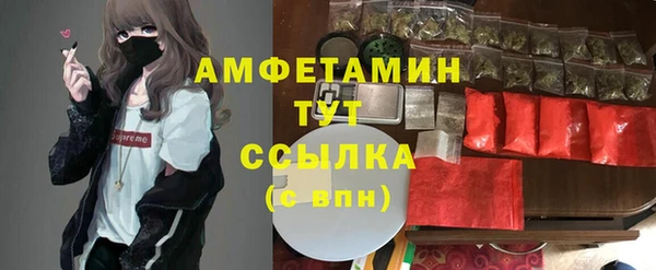 ПСИЛОЦИБИНОВЫЕ ГРИБЫ Ладушкин