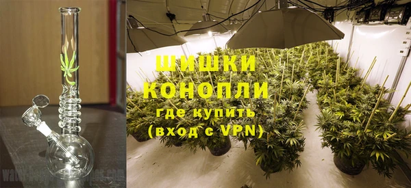 ПСИЛОЦИБИНОВЫЕ ГРИБЫ Ладушкин