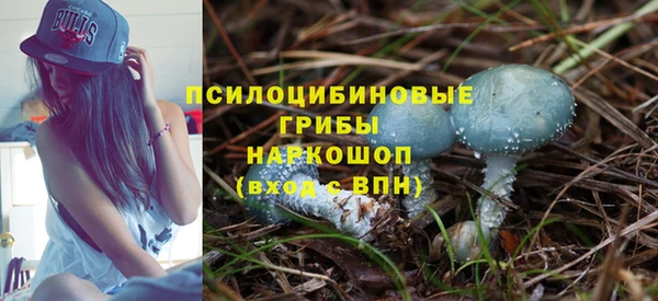 прущие грибы Жердевка