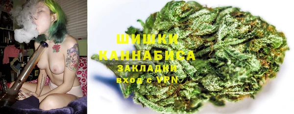 spice Лагань