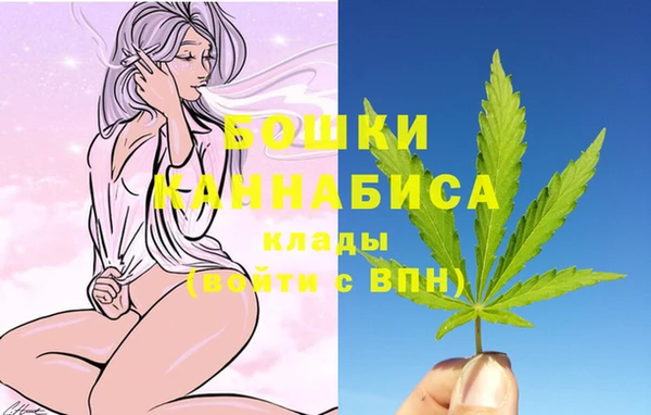 spice Лагань