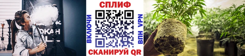 МАРИХУАНА White Widow  Купить где  Миньяр 